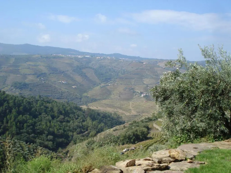 Country house Quinta da Salgueira