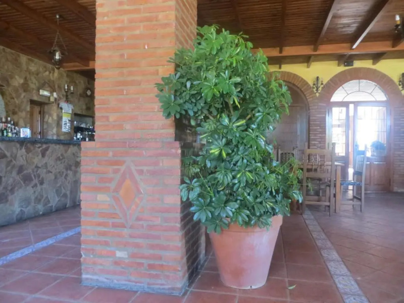 Hostal Rest. Campoabierto