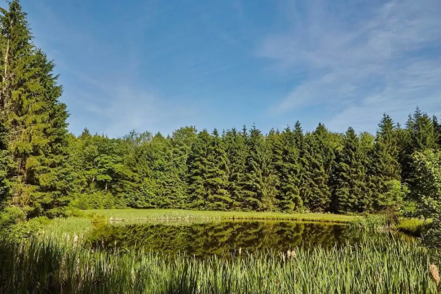 Tentrr - Davis Hollow Mountain Meadow