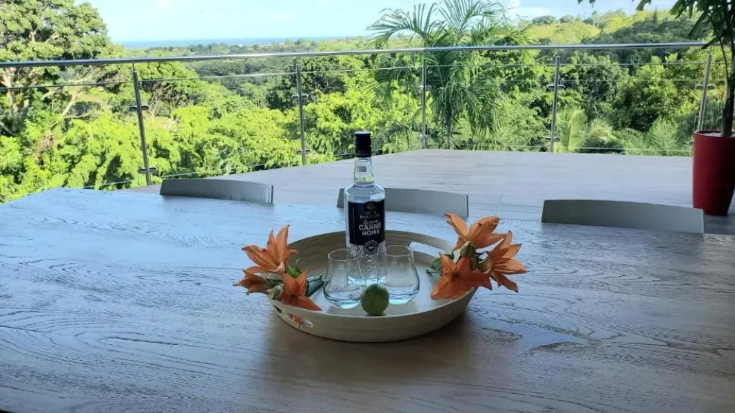Villa de luxe avec piscine, vue mer et montagne.