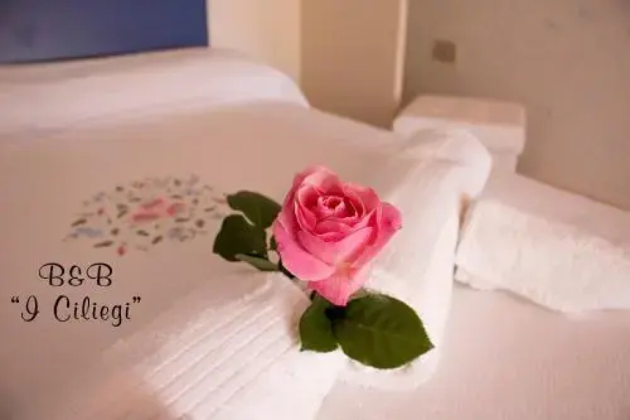 B&B I Ciliegi