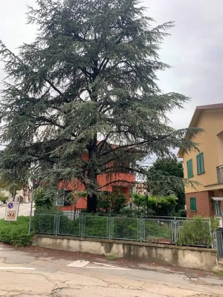 House With 3 Bedrooms in Motta, With Wonderful City View and Furnished Garden