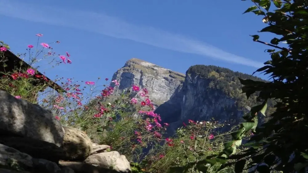 Samoëns Côté Village