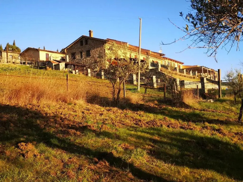 Agriturismo Olimpo