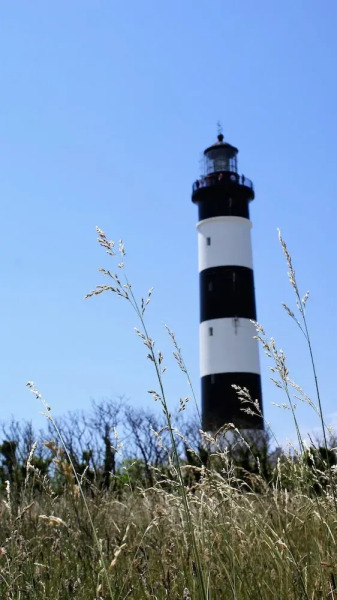 Village Vacances La Martière - Oléron