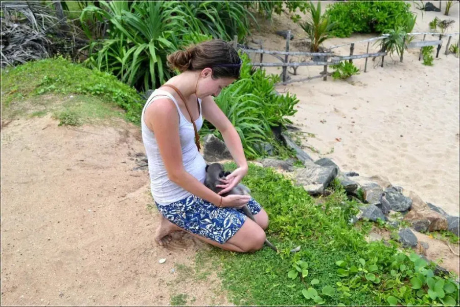 Villasiri and Leon Beach Paradise