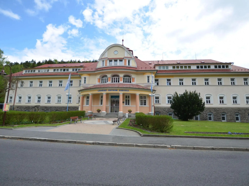 Snug Apartment in Jachymov near Ski Area