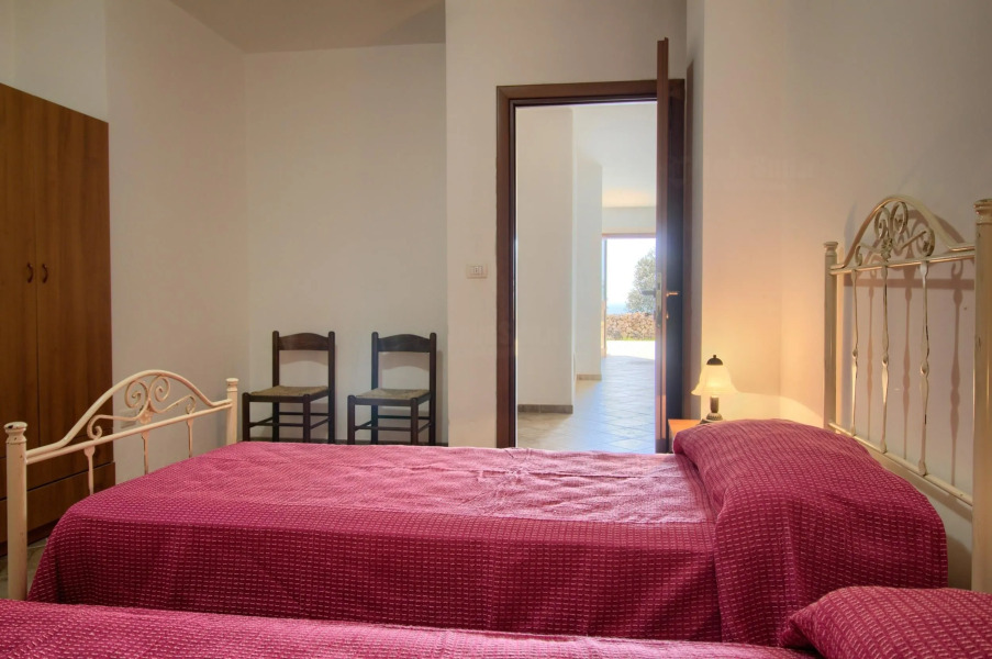 Salvia Lovely Seaview