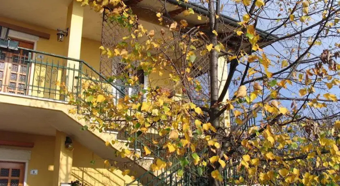 B&B Berici Way E Alloggio