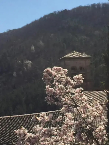 Le couvent côté jardin
