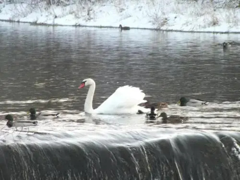 Pokoje Gościnne Sylwia