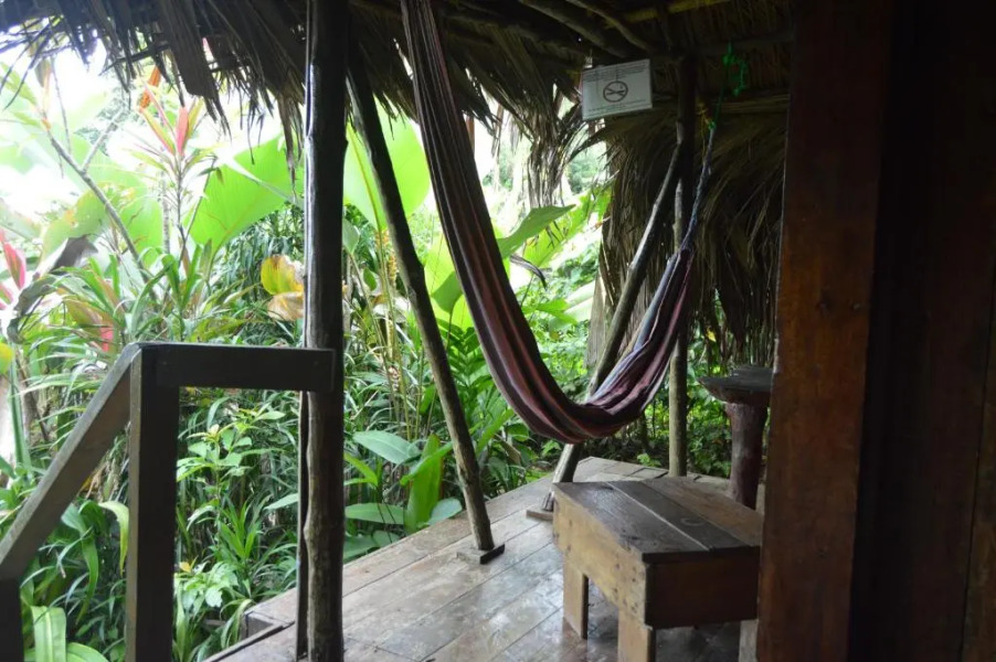 Beverly's Hill Guest House