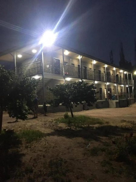 Два абрикоса