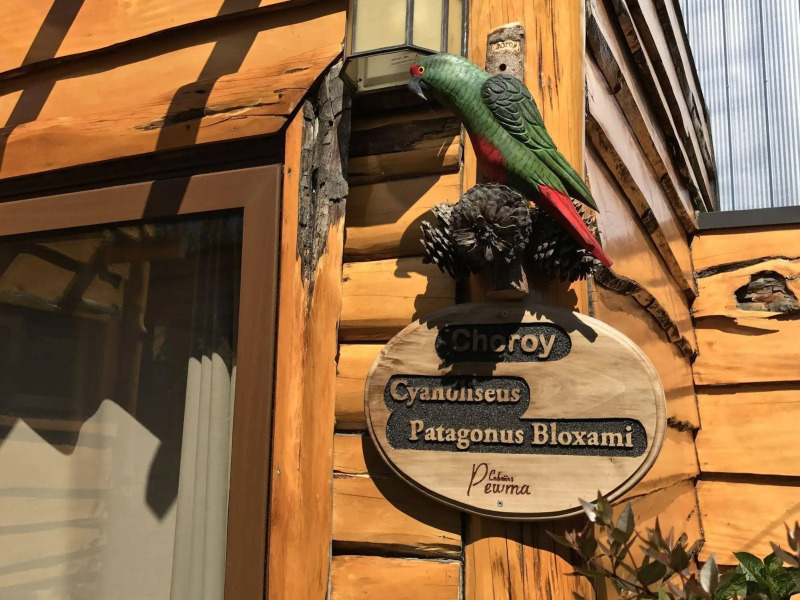 Cabañas Pewma Futrono