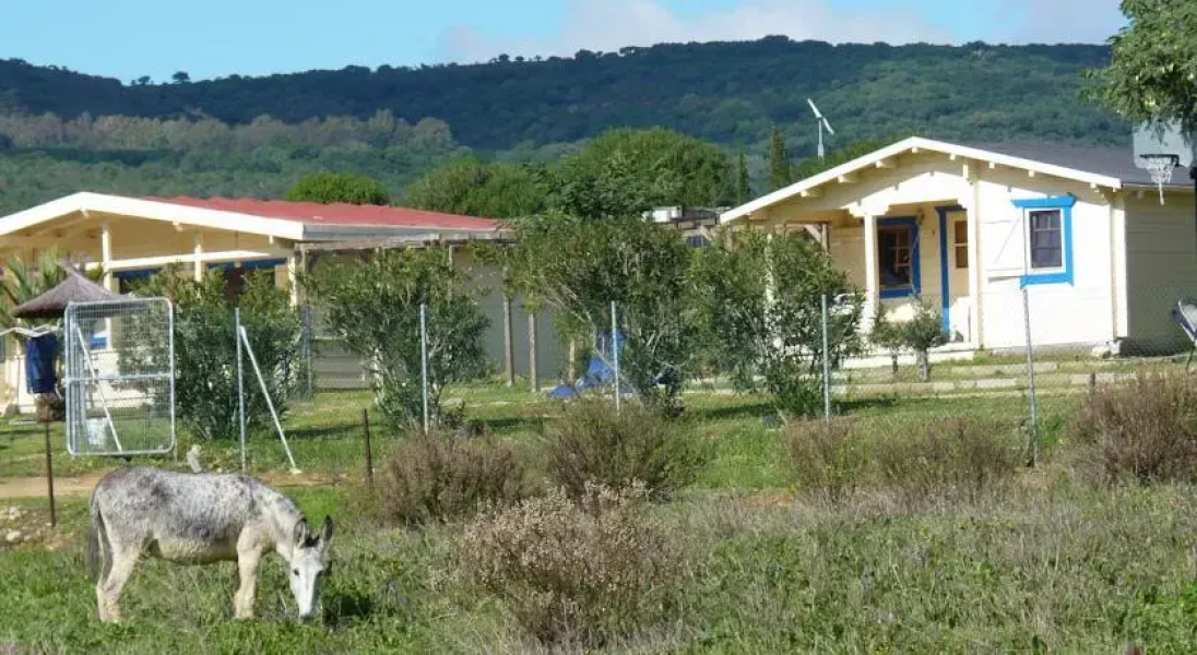 Maryvacas