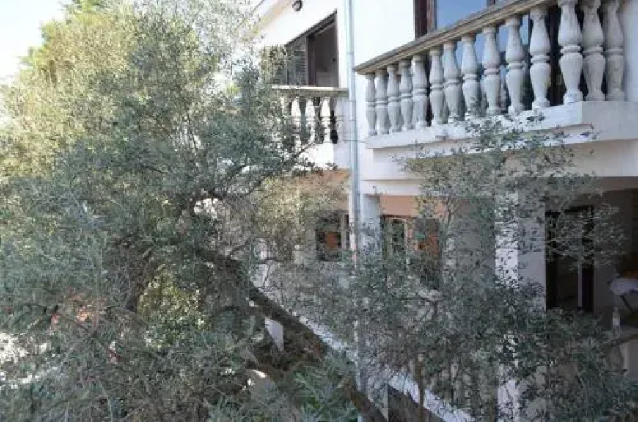 Apartments Petra