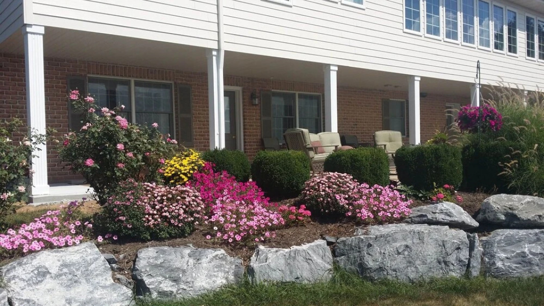 A Suite Escape Bed & Breakfast and Vacation Home