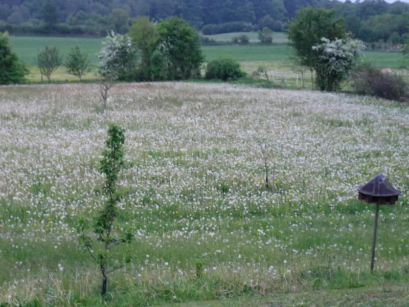 Katerberg & Ferienhaus Tobie