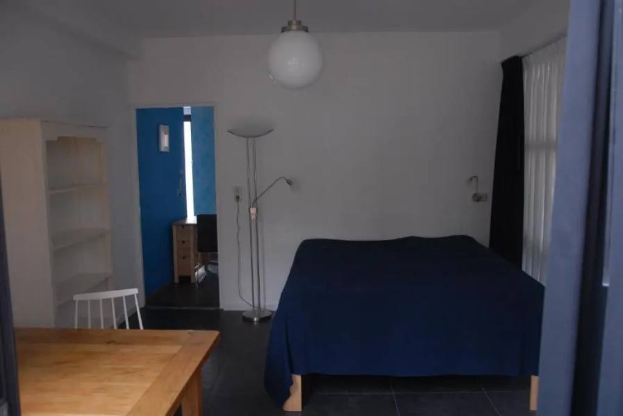 Het blauwe huis