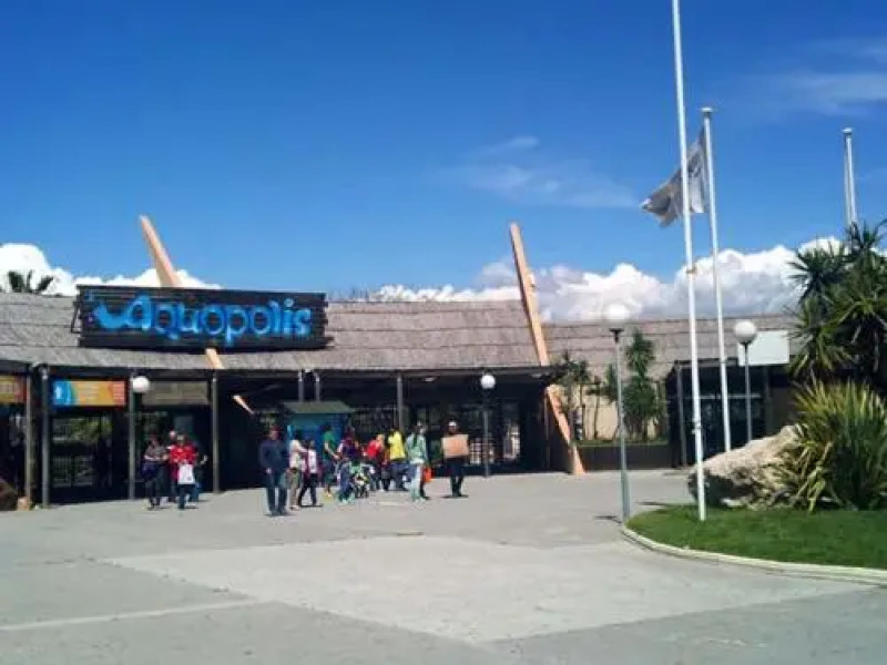 Amadeus Planet Costa Dorada