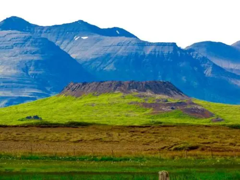 Víðines