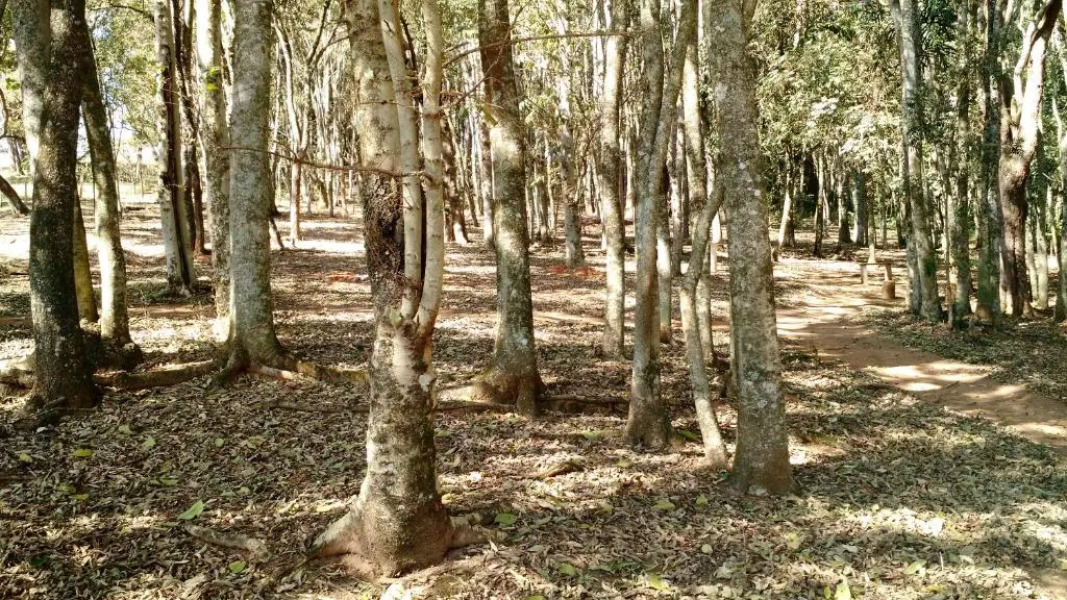 Pousada Flores do Campo