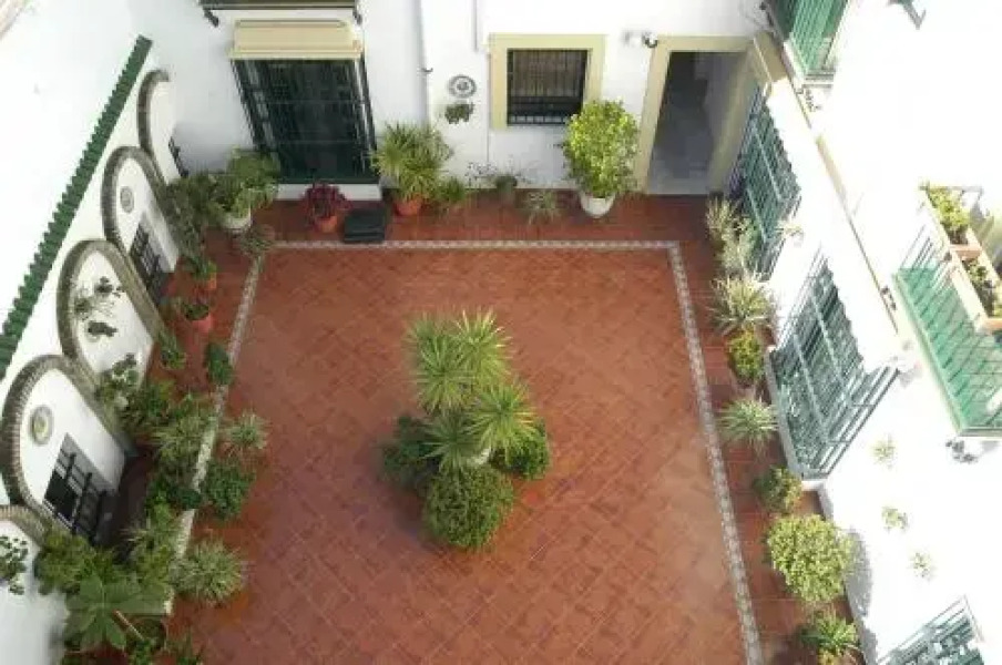 Apartamento Los Olivos Jerez