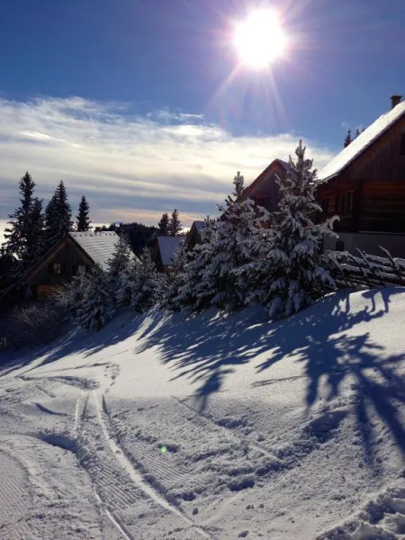 Almhütten Moselebauer