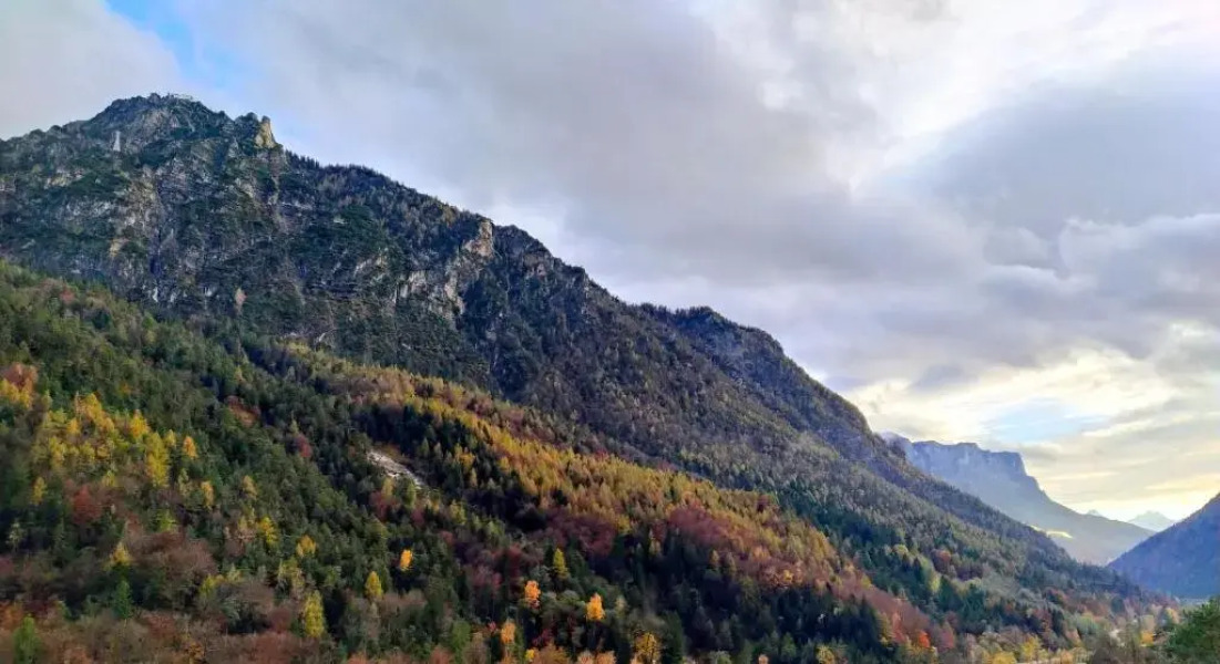 Predigtstuhlblick Apartment - Terrasse - Pool - Panorama