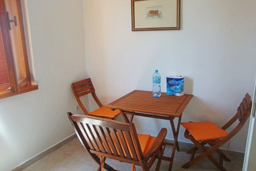 Apartment Andri - 5 m from the beach : A1 Petrcane, Zadar riviera
