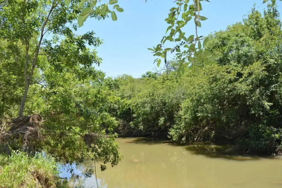 Hr 3- The Little Bear 1 Bedroom Cabin by RedAwning