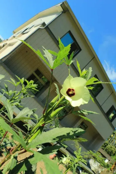 Deren Tea Garden B&B