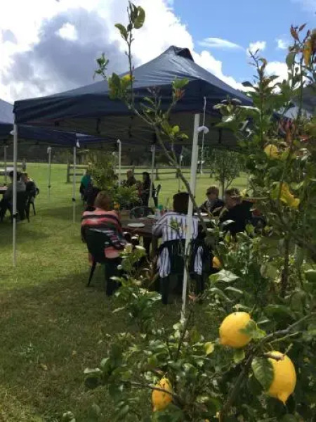 Hunter Riverpines Stay