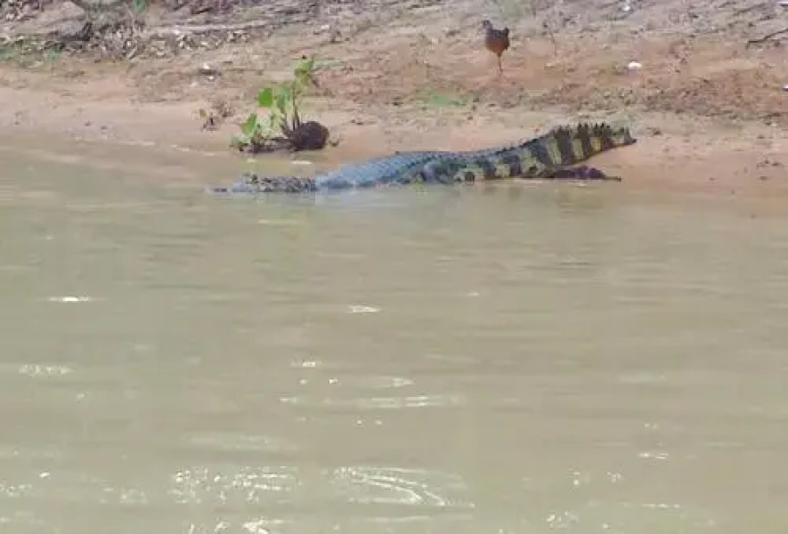 Hotel Fazenda Santa Tereza