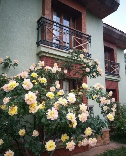 Pendosis Vacation Village