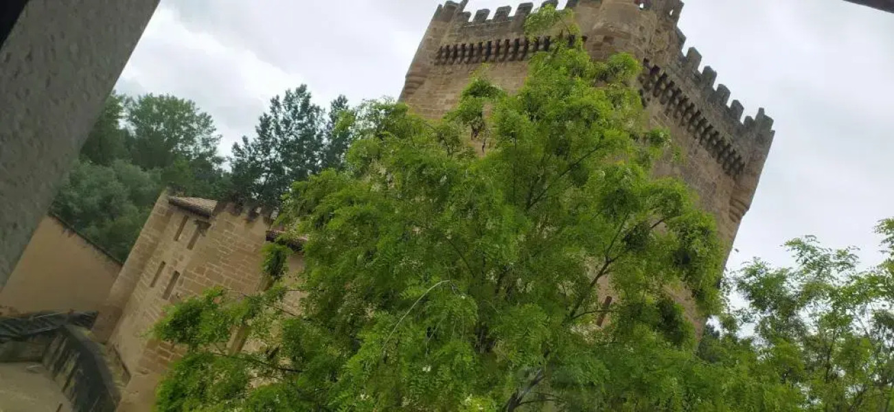 Apartamentos Antonia