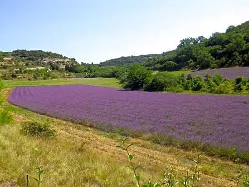 La Mordoree (Adults Only)