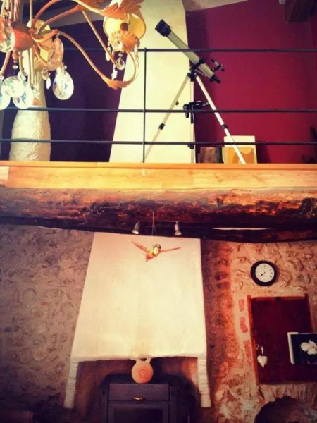 La casa de las orquideas