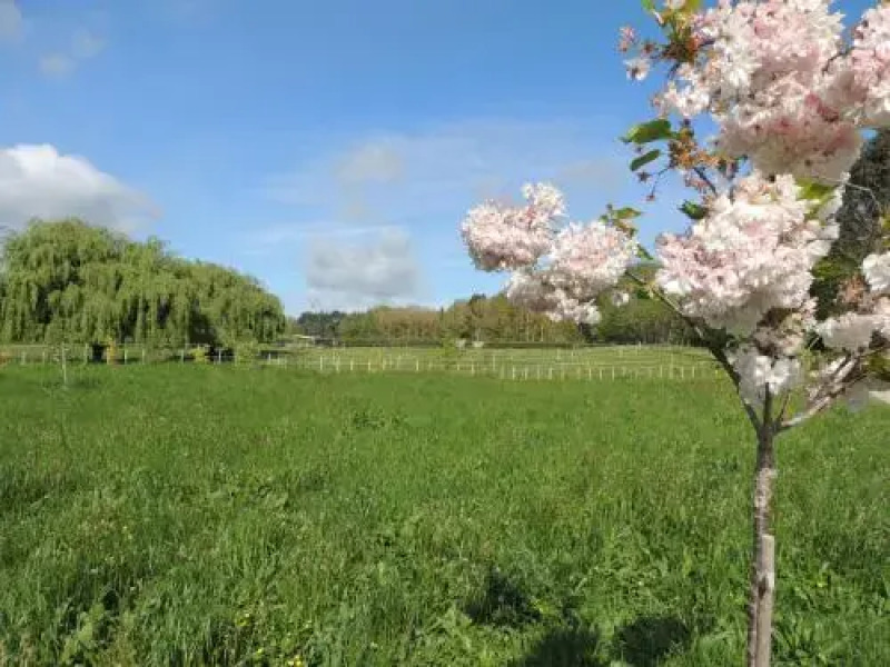 Essene Country Lodge