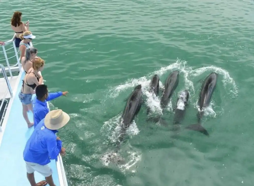 Makanda by The Sea Hotel Adults Only