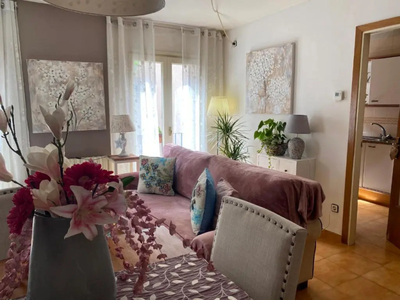 Pla de balenya 2. 3-1