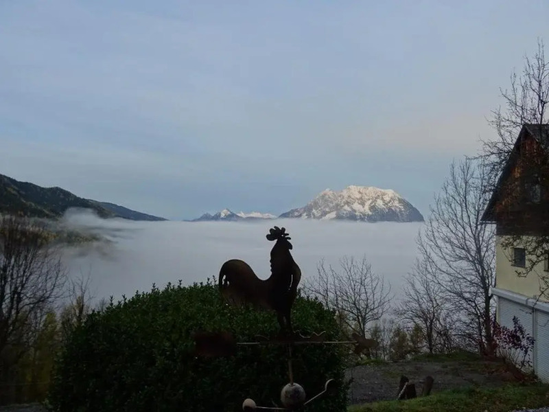 Bio- Erlebnis-Bauernhof-Thonnerhof