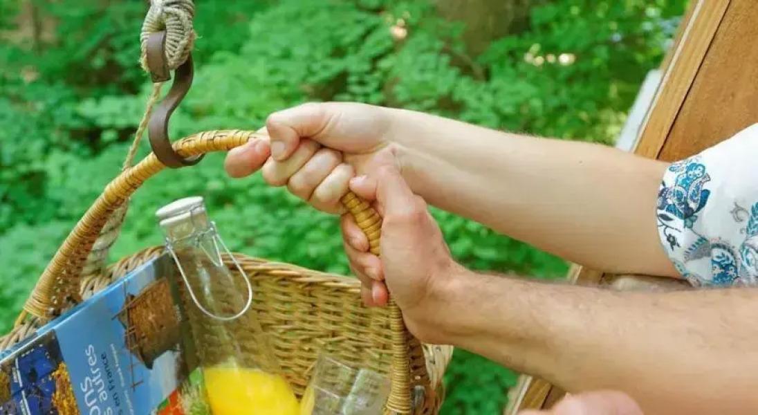 Les Naturelles Insolites