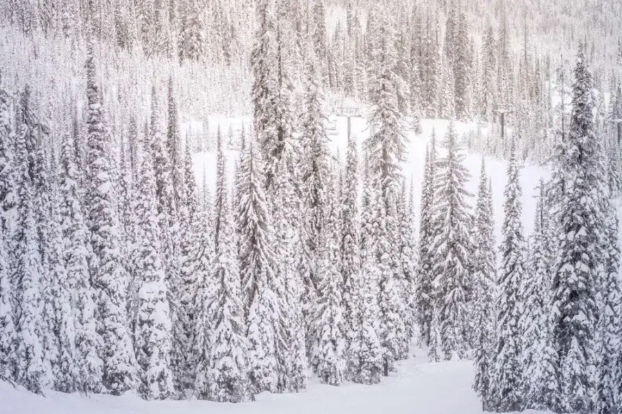 Seasons Four By Snowmass Vacations