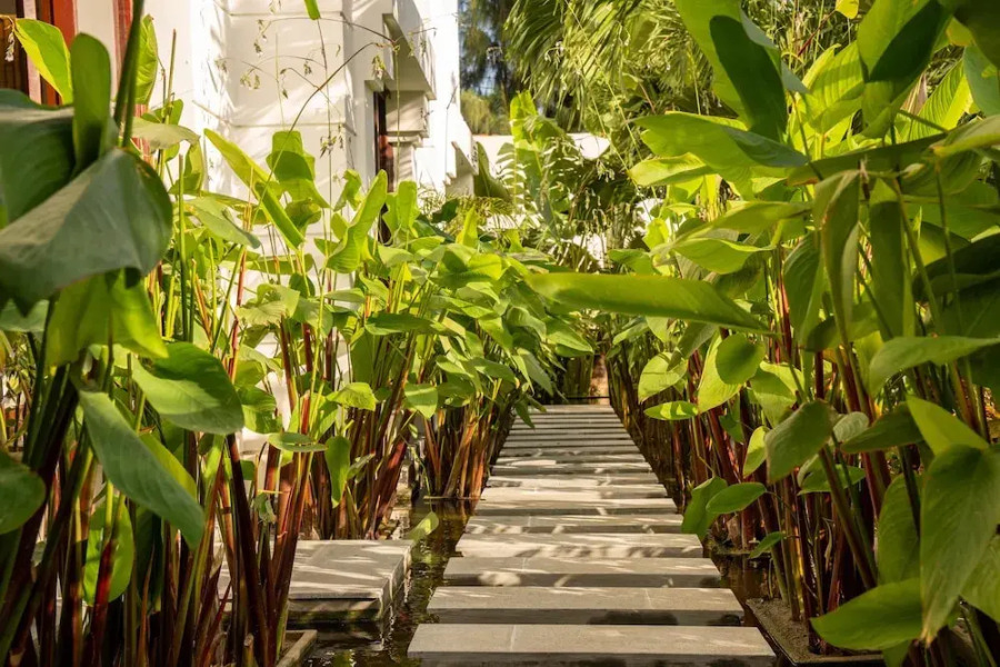 Doc Let Resort And Spa