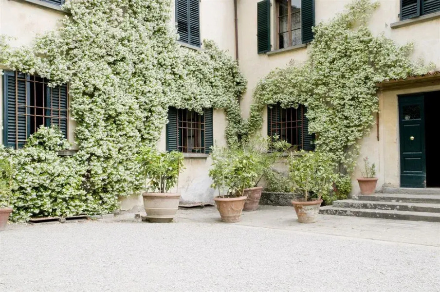 Fattoria di Bacchereto - Guest House