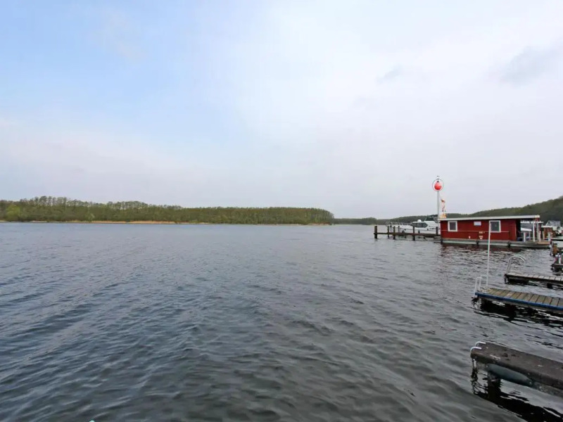 Ferienhaus Starsow SEE 8821