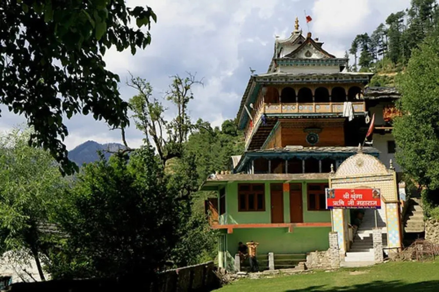 Dev Conifers Cafe & Cottages