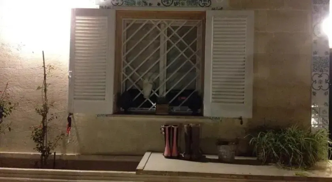 Puglia Tra Mare e Campagna