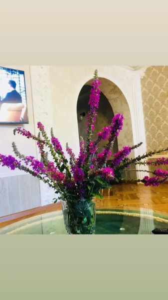 Гостевой дом у Заиры